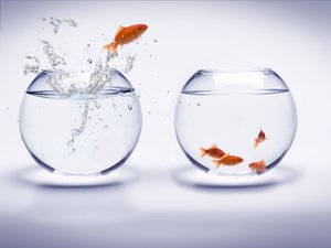 市场消费降级下的精明购物实操指南